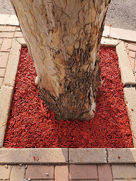 樹穴覆蓋物粘結劑 (3)